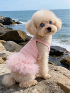 Ballet Tulle Dress