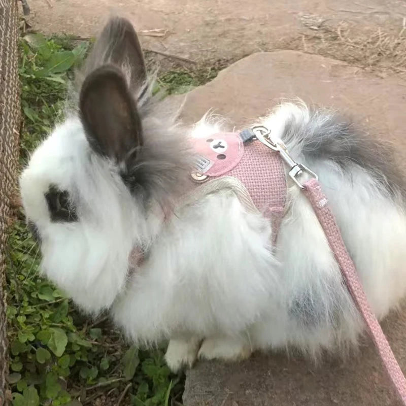 Cartoon Print Cat Rabbit Harness and Leash Set Bunny Rabbits Pet Accessories Bunnies Vest Clothes Lapin Accessoires Pour Animaux