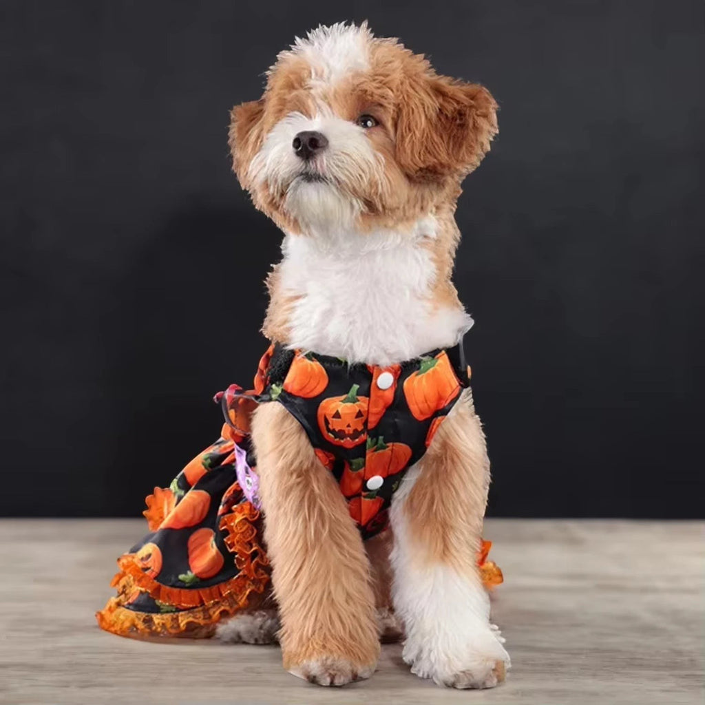 Little Pumpkin Skirt