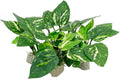Aquarium Ornaments Simulation Plants Fish Tank Landscaping Decorations Plastic Water Plants Flowers Trees Rocks Accessories