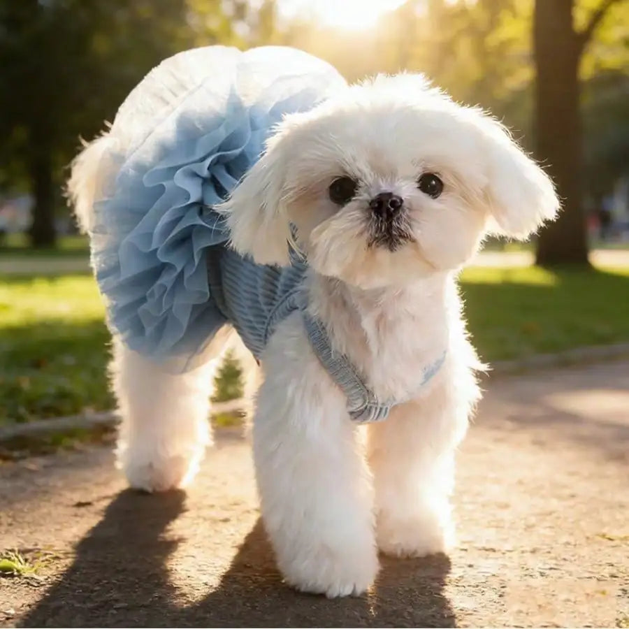 Ballet Tulle Dress