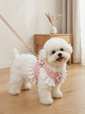 Floral Lace Pet Harness Dress with Matching Leash, Ruffle Princess Style, Breathable Fabric. Cute decorative outfit for small dogs and cats, comfortable walking harness for outdoor strolls, photo shooting and daily wearing