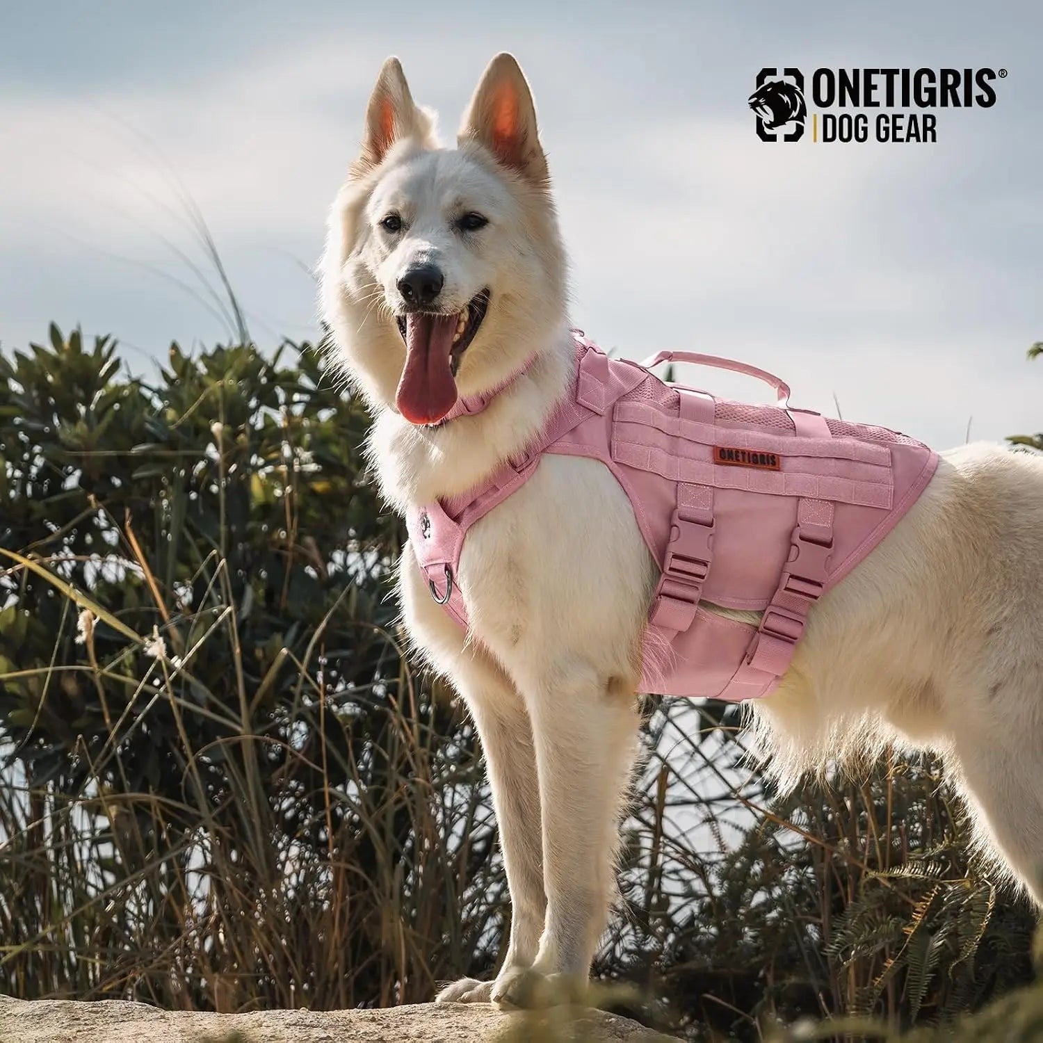 Tactical Dog Harness for Small Dogs, No Pull Vest with Handles for Walking Hiking Training, Breathable Molle Vest