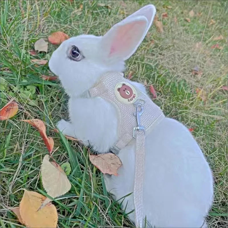 Cartoon Print Cat Rabbit Harness and Leash Set Bunny Rabbits Pet Accessories Bunnies Vest Clothes Lapin Accessoires Pour Animaux