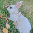 Cartoon Print Cat Rabbit Harness and Leash Set Bunny Rabbits Pet Accessories Bunnies Vest Clothes Lapin Accessoires Pour Animaux