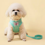 New Breathable Cute Cat Harness Set Butterfly Small Dog Harness Set Walk Outdoors Puppy Chest Vest Leash Accessories
