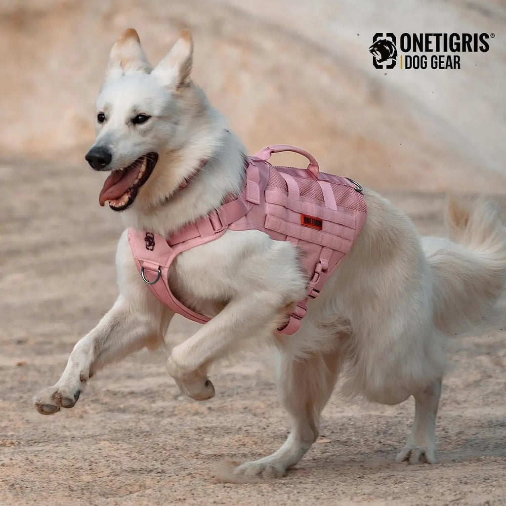 Tactical Dog Harness for Small Dogs, No Pull Vest with Handles for Walking Hiking Training, Breathable Molle Vest