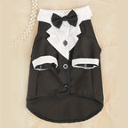 Black Tie Suit