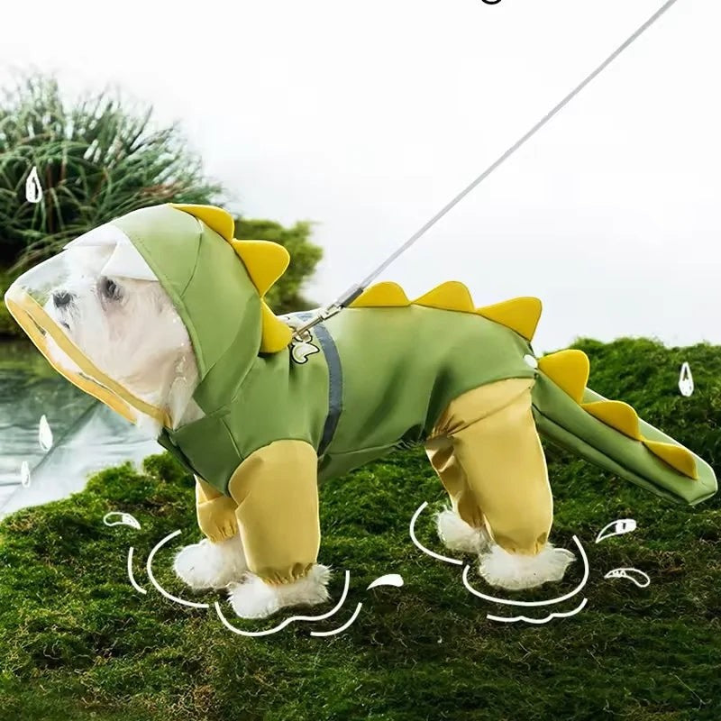 Dino Raincoat