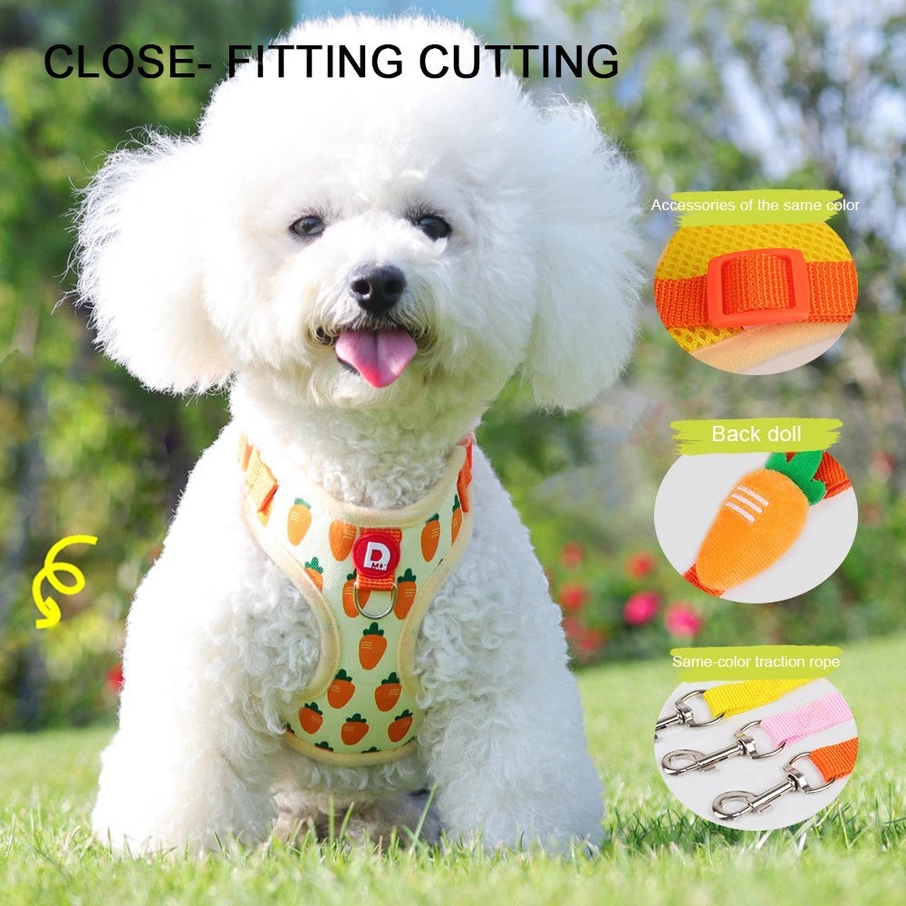 Cute Fruit Dog Cat Harness & Leash Set  Adjustable Soft Puppy Kitten Walking Gear Breathable Summer Outdoor Accessories for Smal