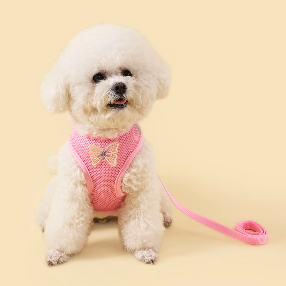 New Breathable Cute Cat Harness Set Butterfly Small Dog Harness Set Walk Outdoors Puppy Chest Vest Leash Accessories