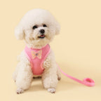 New Breathable Cute Cat Harness Set Butterfly Small Dog Harness Set Walk Outdoors Puppy Chest Vest Leash Accessories