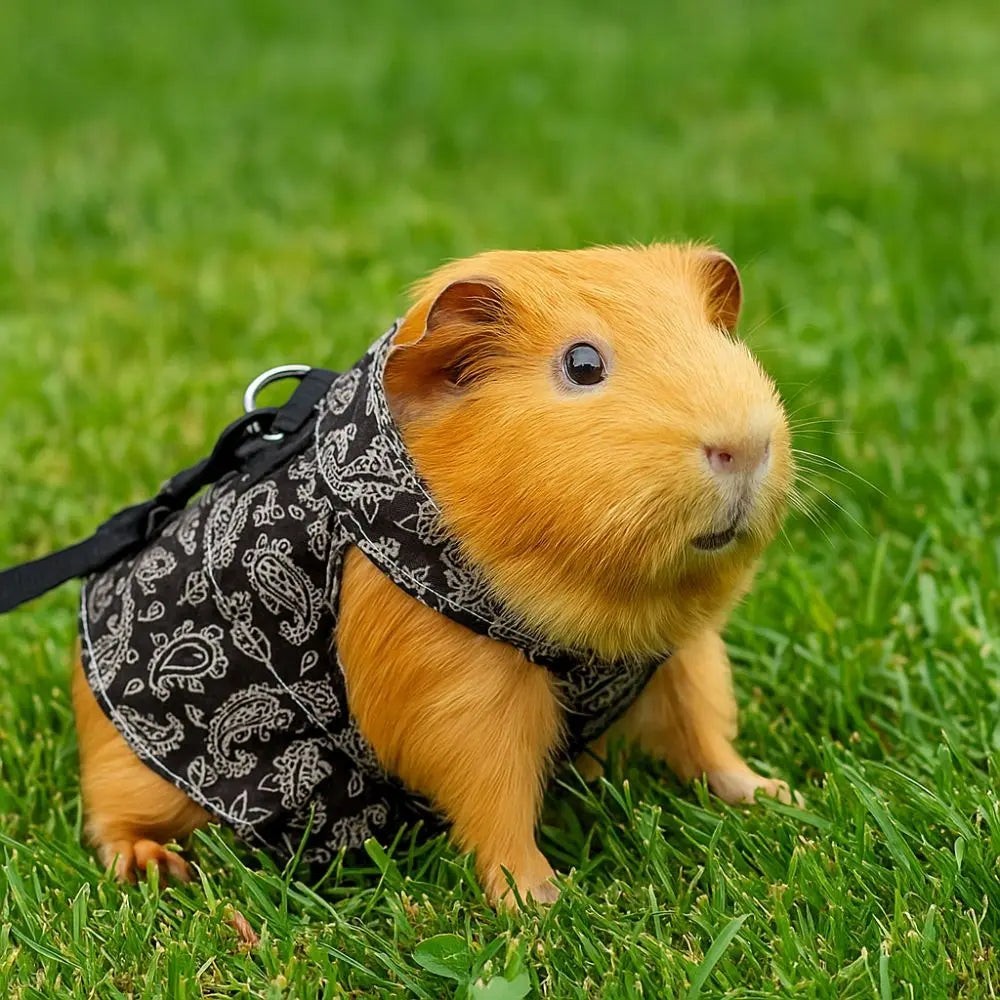 Soft Lizard Leash Harness Adjustable Escape-Proof Bearded Dragon Traction Rope Floral Pattern Breathable Reptile Harness Dress