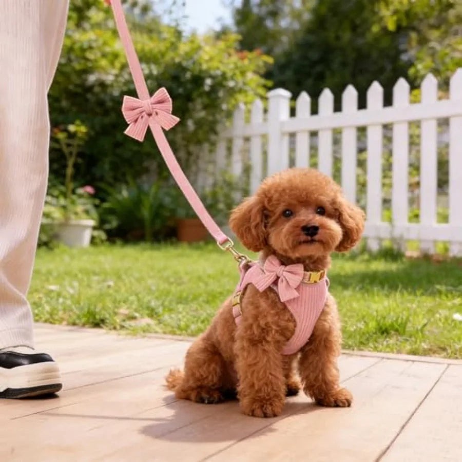 Cute Small Dog Harness Collar and Leash Set with Detachable Bowtie, Adjustable Dog Harness Collar and Leash Set with Secure Met