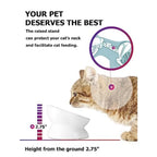 Cat Bowl Anti Vomitg, Raised Food Bowls, Tilted Elevated Bowl, Ceramic Pet Food Bowl for Flat Faced Cats, Small Dogs, Protect P