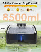 Mincy Pets Elevated Adjustable Dog & Cat Water Fountain product photo.