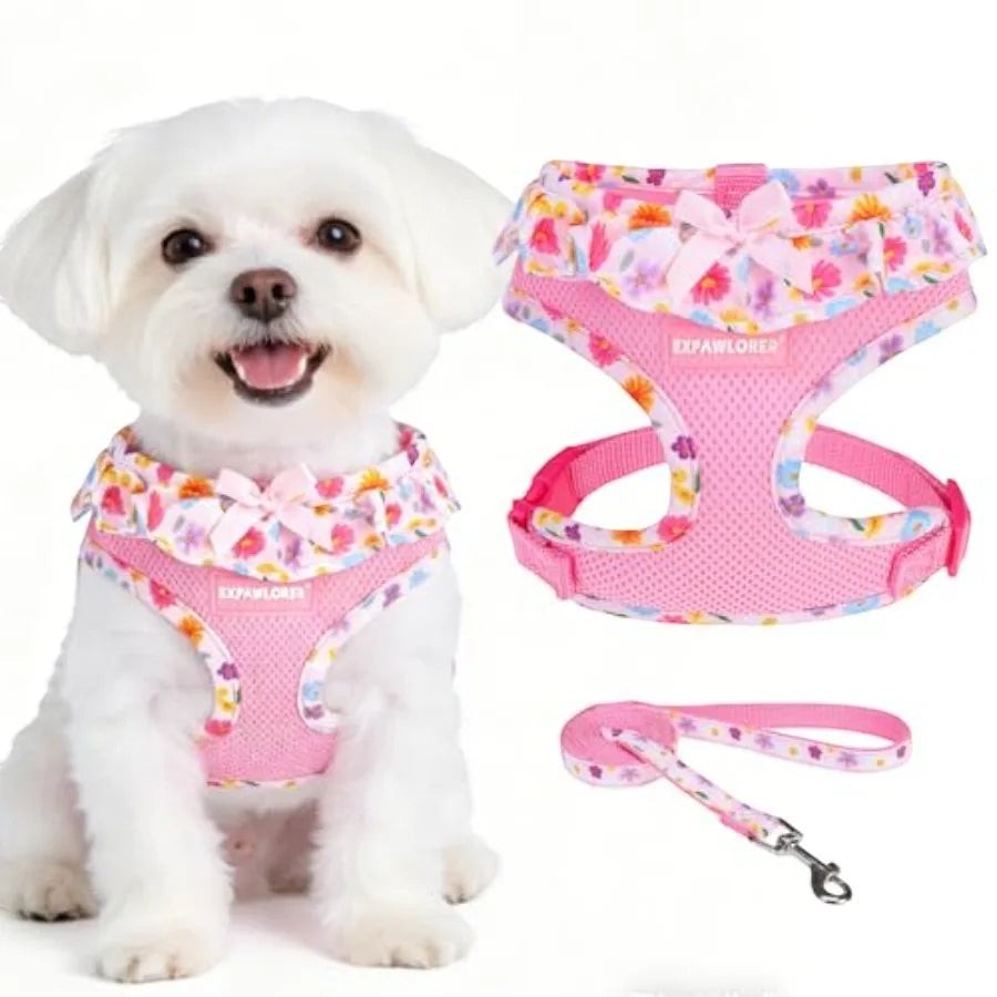 Mincy Pets Step-In Mesh Dog Harness Collar & Leash Set product photo.