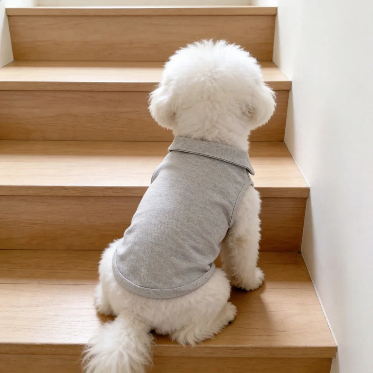 Spring and Summer Solid Color Polo Shirt Puppy Thin Breathable T-shirt Cat Vest Pet Clothing Skin Friendly and Delicate