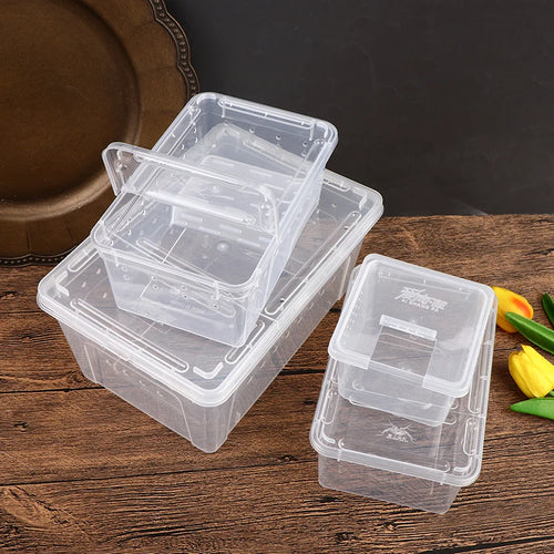 Mincy Pets Acrylic Reptile Breeding Box with Lid product photo.