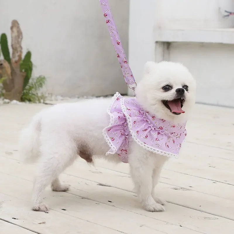 Small Dog Clothes Pet Cat Harness With Leash Lace Teddy Bichon Spring Summer Autumn Dog Leash Cat Supplies