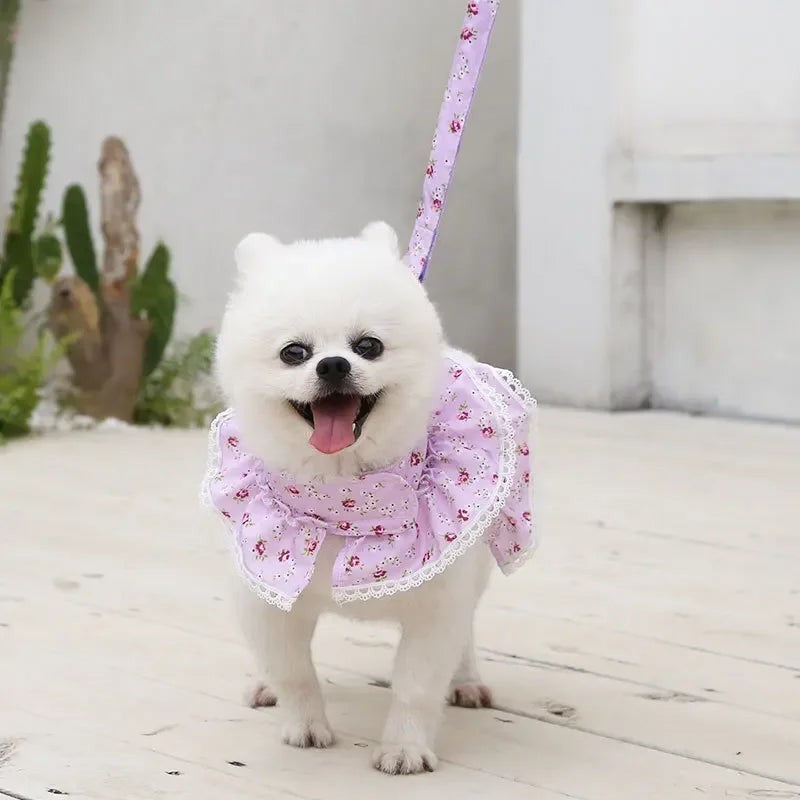 Mincy Pets Lace Harness with Leash for Small Dogs & Cats product photo.