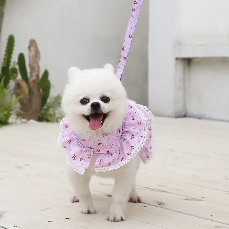Small Dog Clothes Pet Cat Harness With Leash Lace Teddy Bichon Spring Summer Autumn Dog Leash Cat Supplies