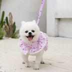 Small Dog Clothes Pet Cat Harness With Leash Lace Teddy Bichon Spring Summer Autumn Dog Leash Cat Supplies