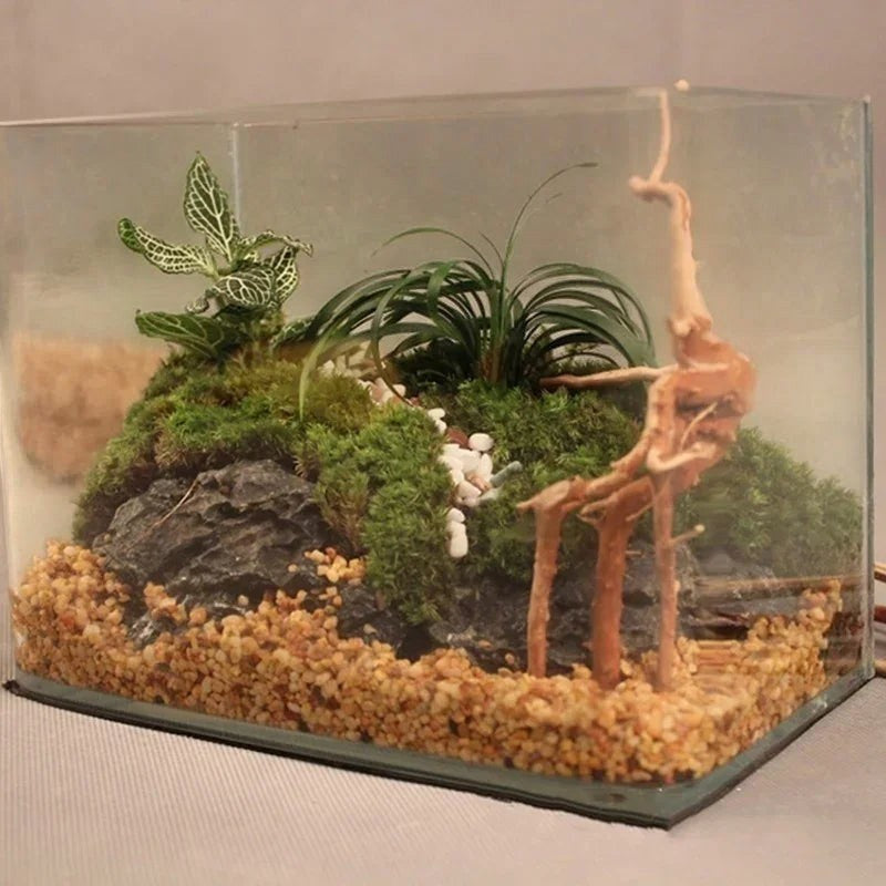Natural Tree Trunk Driftwood Aquarium Fish Tank Reptile Cylinder Roots Plant Wood Decoration Ornament Accessory Aquarium Plants