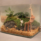 Natural Tree Trunk Driftwood Aquarium Fish Tank Reptile Cylinder Roots Plant Wood Decoration Ornament Accessory Aquarium Plants