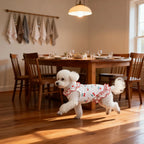 1PC Fashion Cute Cherry Ruffle Pet Dress for Small Dogs, Comfortable Anti-Static Dog Skirt Summer Clothes