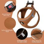 Step in Vest Harness for Small and Medium Dogs, No Pull Puppy Harness with Leash Set, Comfortable Air Mesh Dogs Vest Harness wi