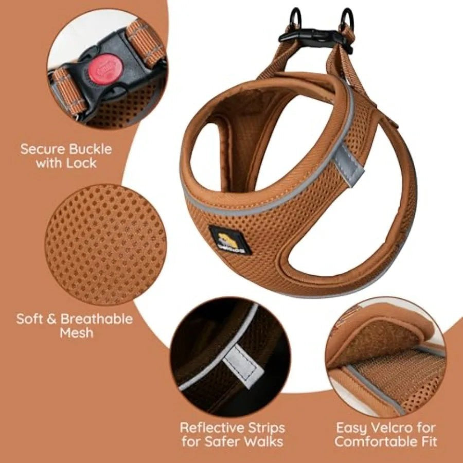 Step in Vest Harness for Small and Medium Dogs, No Pull Puppy Harness with Leash Set, Comfortable Air Mesh Dogs Vest Harness wi