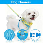 Cute Dog Harness Collar Leash Set - Blue Girl Dog Harness Checke Step-in Design, Adjustable No-Choke Lightweight Mesh Vest for