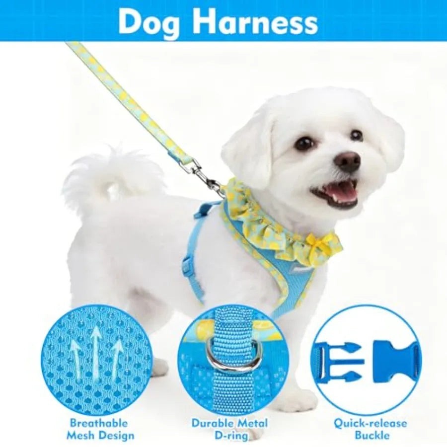 Cute Dog Harness Collar Leash Set - Blue Girl Dog Harness Checke Step-in Design, Adjustable No-Choke Lightweight Mesh Vest for