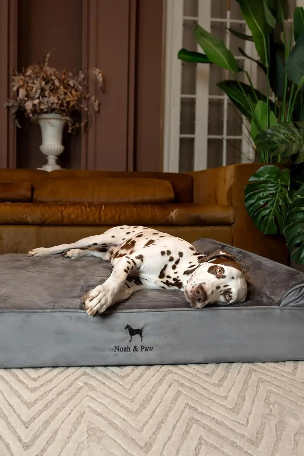 XL Orthopedic Dog Bed with Cooling Gel
