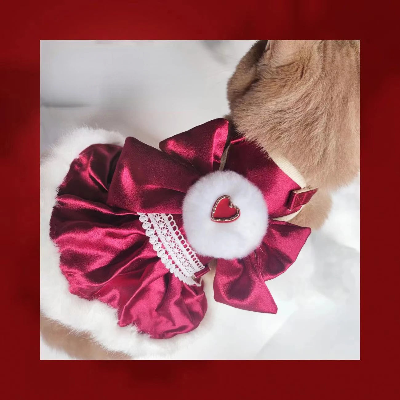 Pet Burrs Leash Cat Dog Universal Fairy Princess Dress Autumn Winter Christmas Walking Cat Dog Walking Chest Harness Back Strap