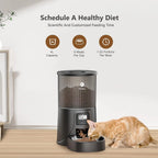 Programmable Feeder
