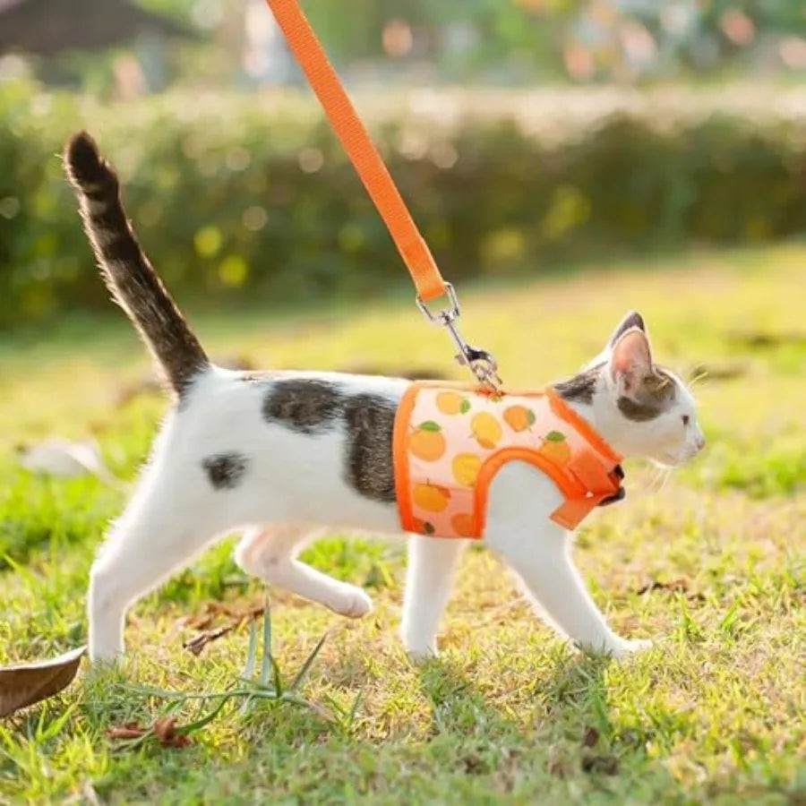 Cat Harness with Leash Escape Proof - Fashionable Mesh Cat Dog Walking Harness Leads, Adjustable for Kitties Puppies Animals,,S