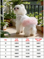 Ballet Tulle Dress
