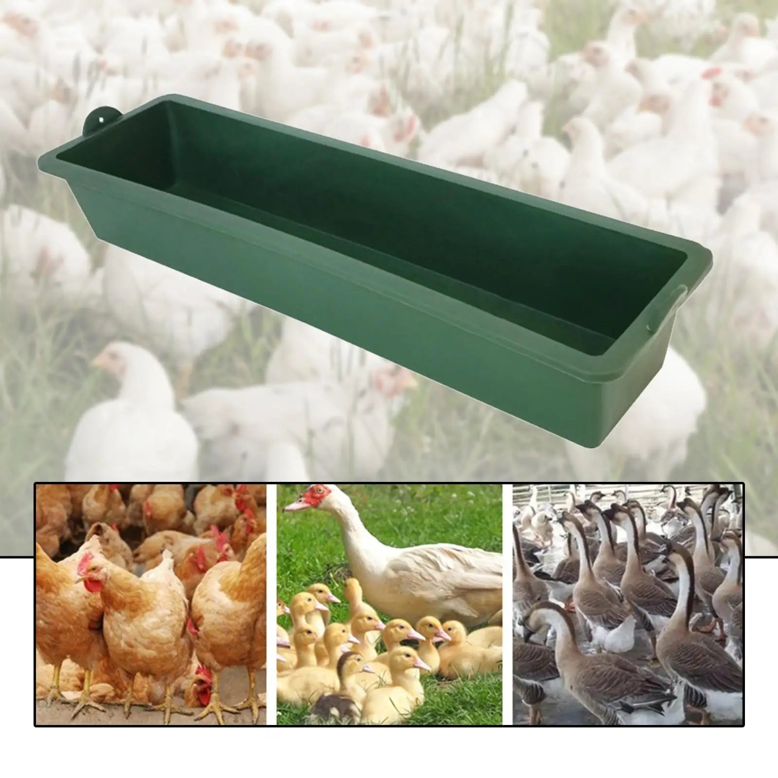 Farm Hanging Chicken Feeder Plastic Food Trough Water Holder Tray for Goose Duck Turkey Pigeon Goat Sheep Coop Use