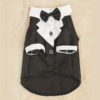 Black Tie Suit