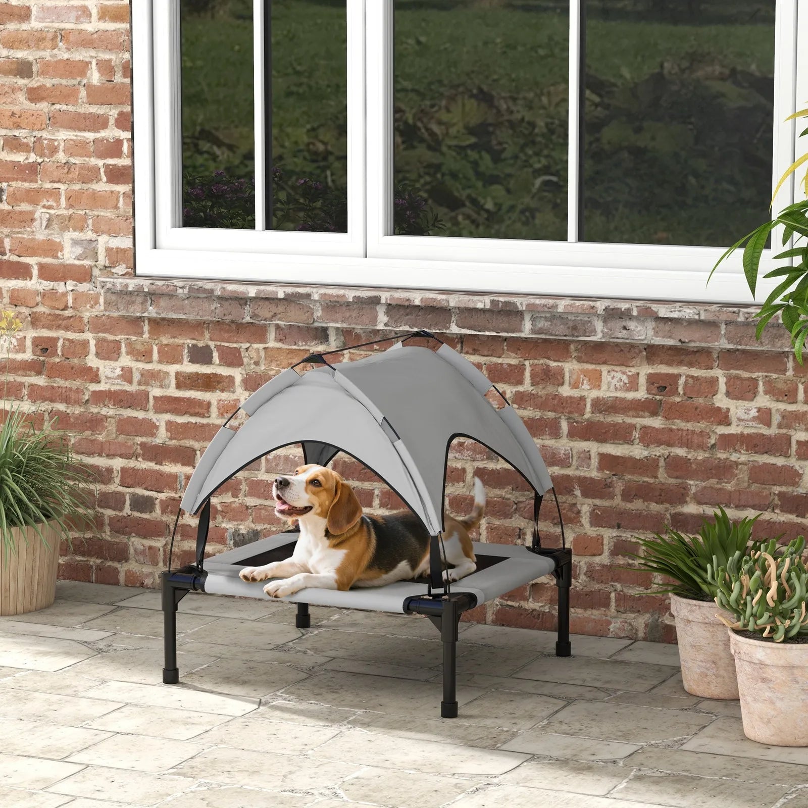 Elevated Outdoor Dog Bed with Canopy