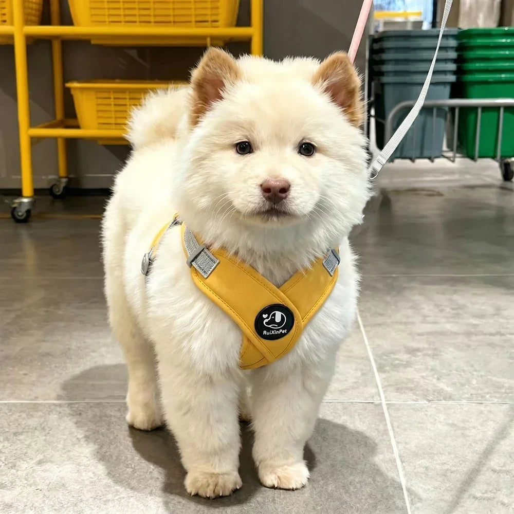 Dog Harness Leash Set Reflective Adjustable Pet Vest Harness with Metal D Ring Breathable Puppy Cat Walking Chest Strap Supplies