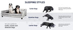 Elevated Dog Sofa Bed with Removable Cushion