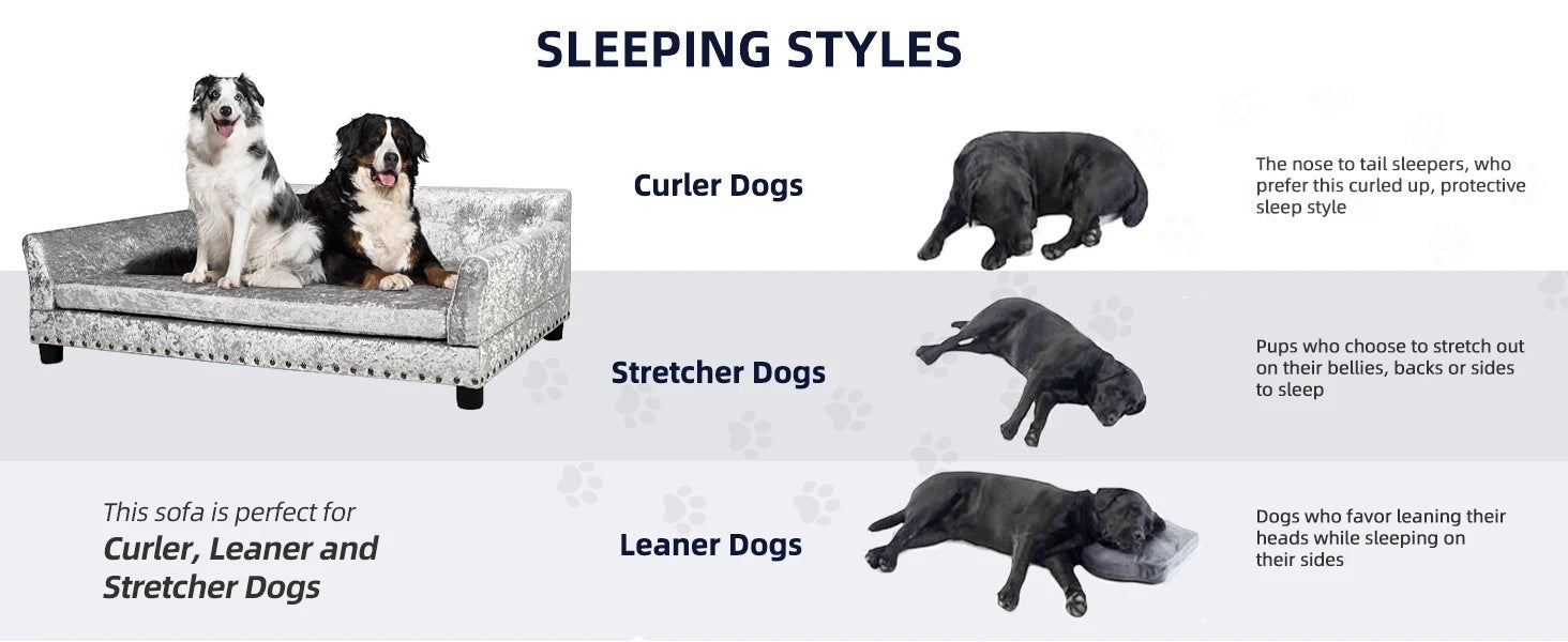 Elevated Dog Sofa Bed with Removable Cushion