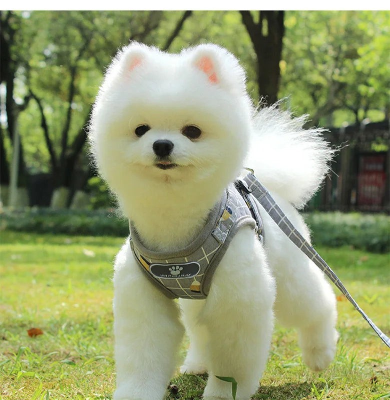 Nylon Puppy Harness Vest with Leash Breathable Reflective Pet Dogs Cats Harness for Chihuahua French Bulldog Collar Dog Supplies