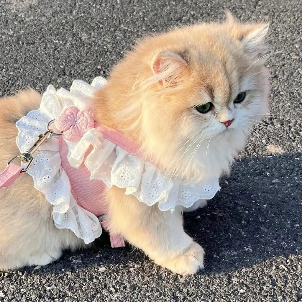 Floral Lace Pet Harness Dress with Matching Leash, Ruffle Princess Style, Breathable Fabric. Cute decorative outfit for small dogs and cats, comfortable walking harness for outdoor strolls, photo shooting and daily wearing