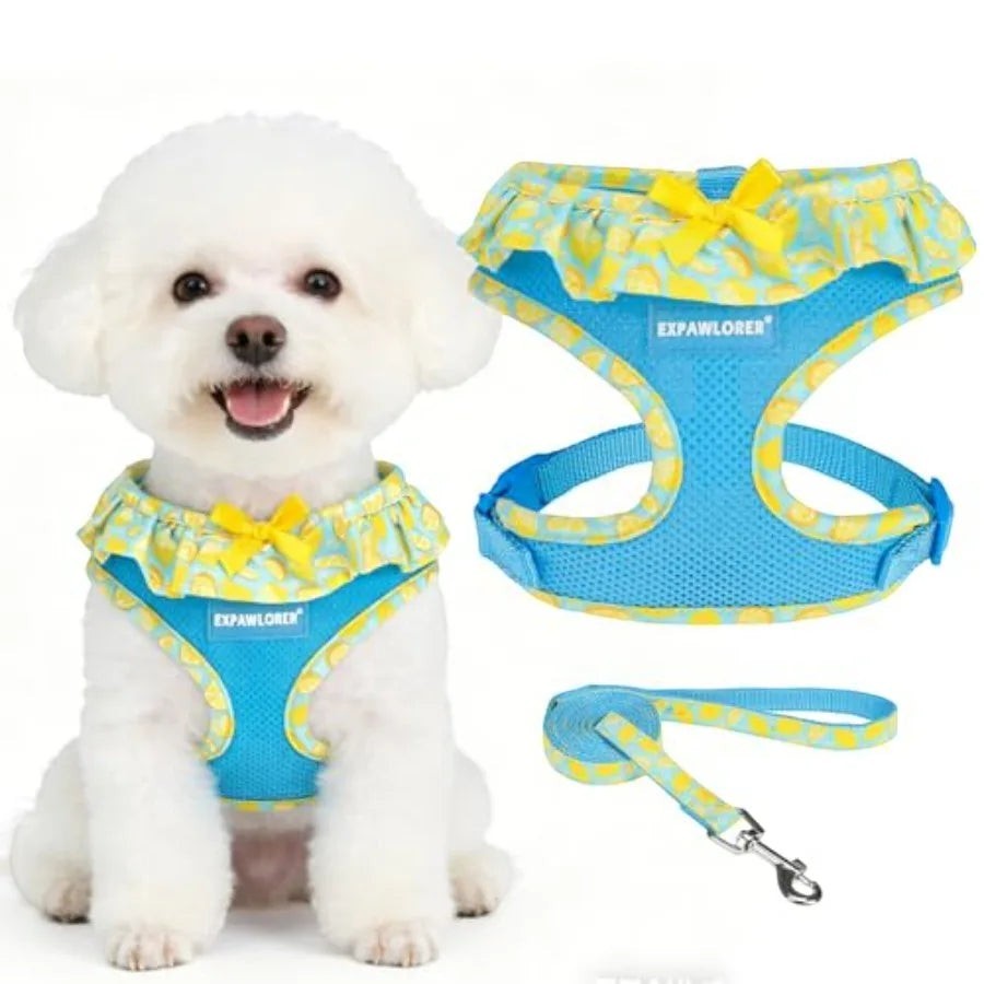 Cute Dog Harness Collar Leash Set - Blue Girl Dog Harness Checke Step-in Design, Adjustable No-Choke Lightweight Mesh Vest for