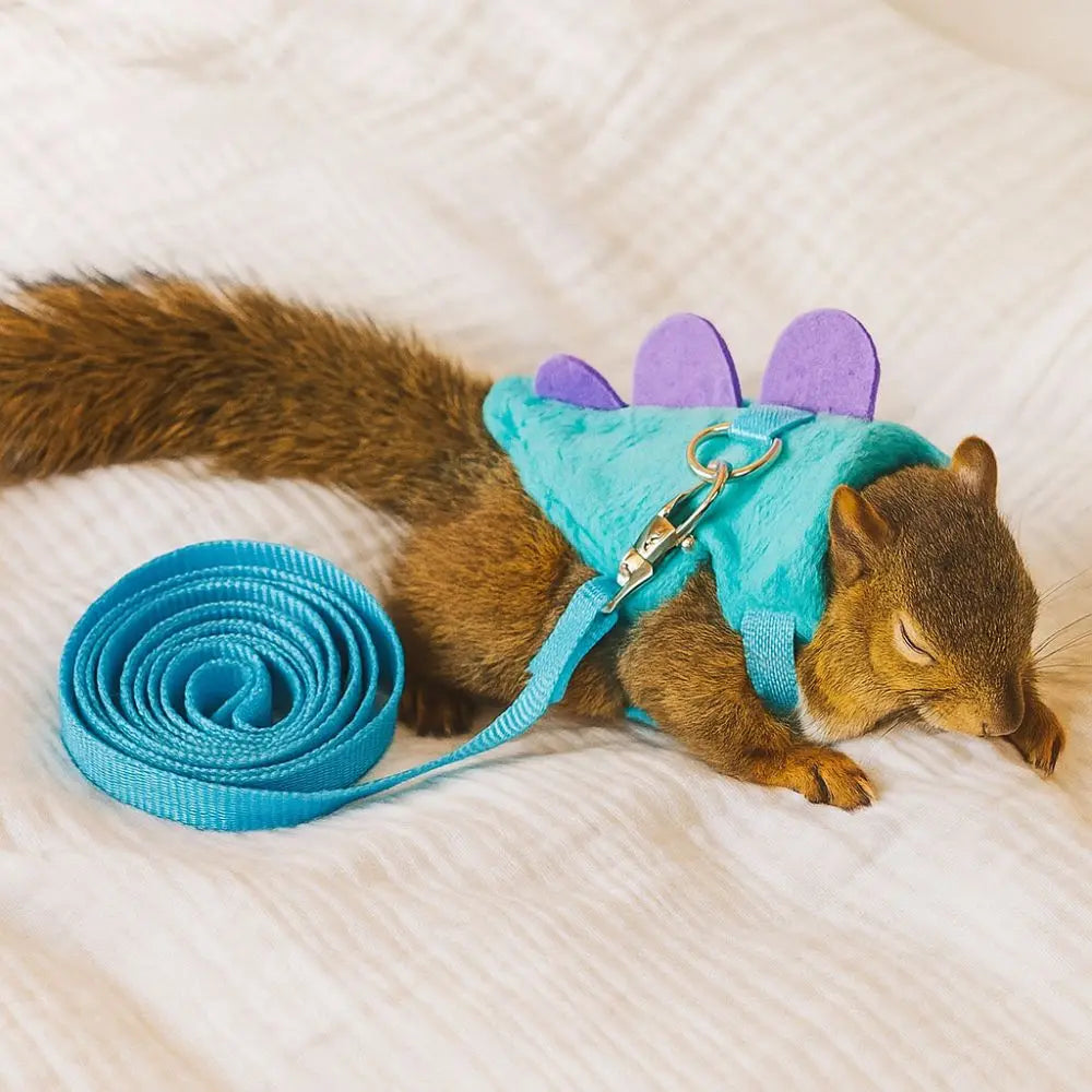 Soft Cartoon Ferret Vest Harness Adjustable Flannel Hamster Chest Strap Dragon Design with Bell Ferret Traction Rope Training