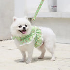 Small Dog Clothes Pet Cat Harness With Leash Lace Teddy Bichon Spring Summer Autumn Dog Leash Cat Supplies